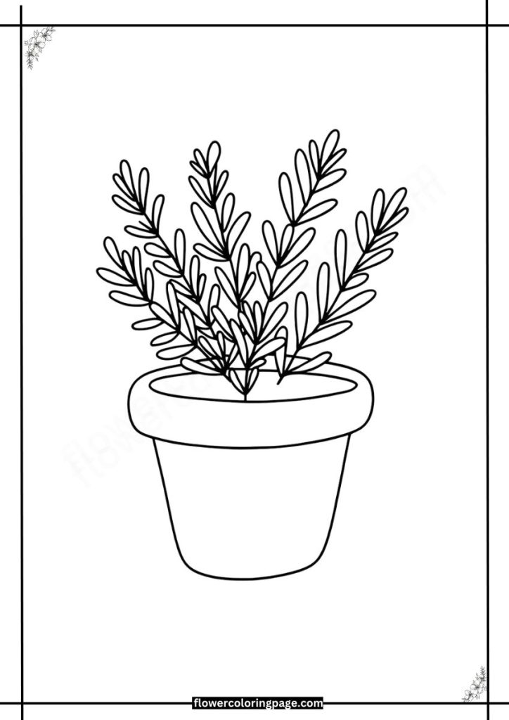 Rosemary coloring page