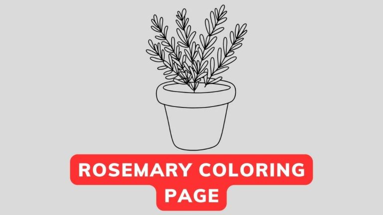 Rosemary coloring page