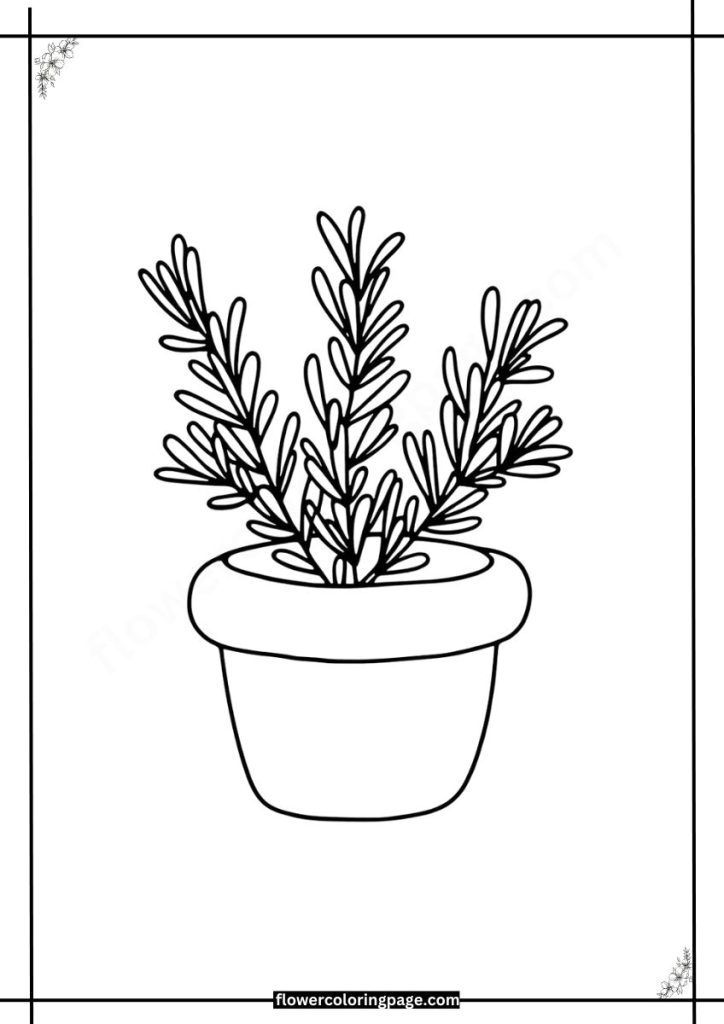 Rosemary coloring pages