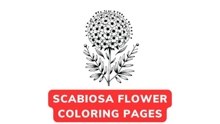 Scaevola Coloring Page