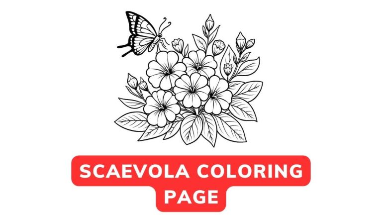 Scaevola Coloring Page