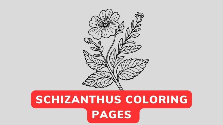 Schizanthus Coloring Page