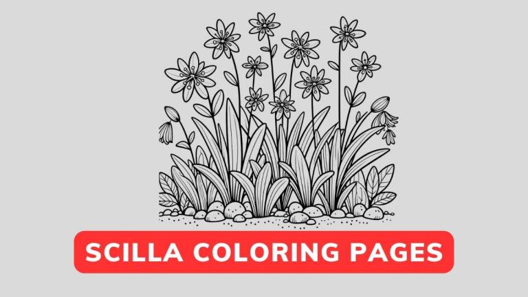 Scilla Coloring Page