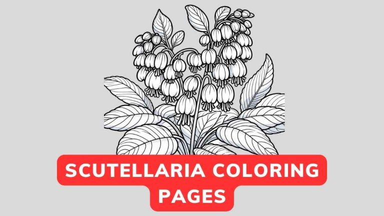 Scutellaria Coloring Page