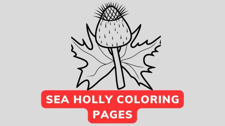 Sea Holly Coloring Page