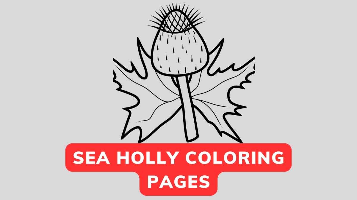 Sea Holly Coloring Page