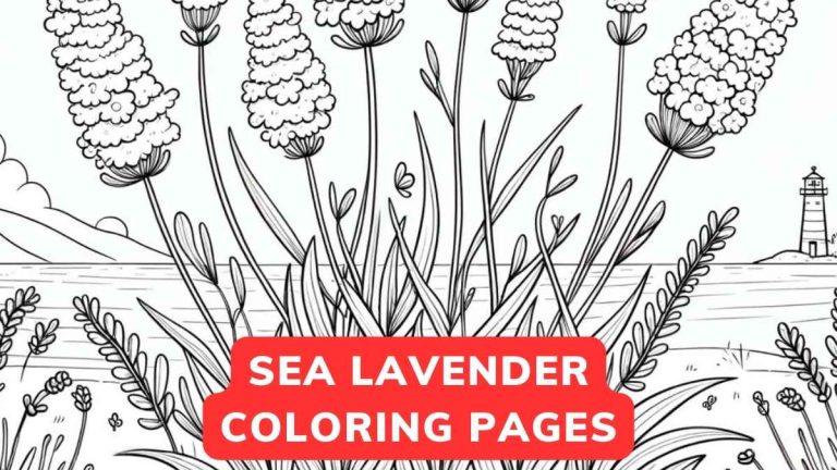 Sea Lavender Coloring Page