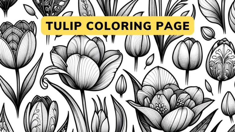 Tulip Coloring Pages