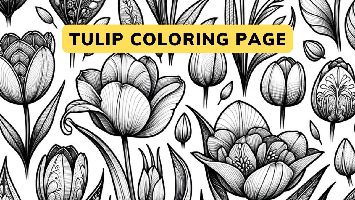 Tulip Coloring Pages