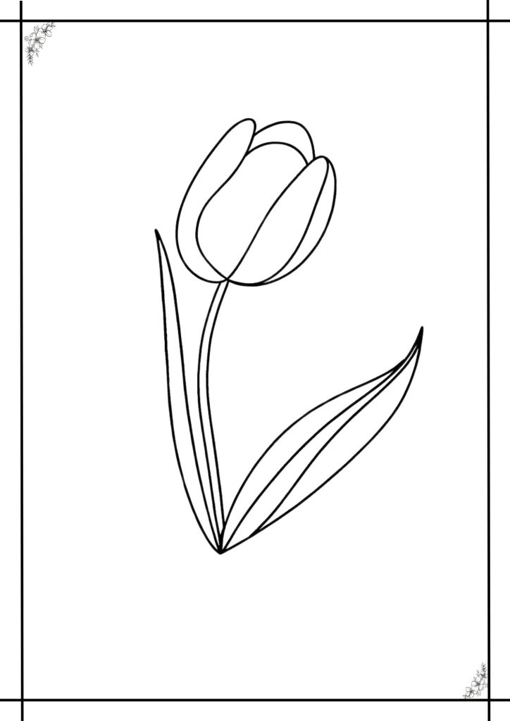 Tulip coloring page easy