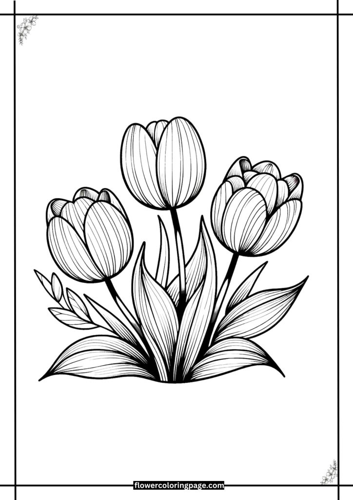 Tulip coloring pages