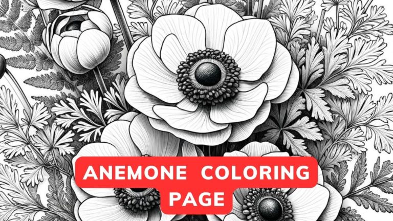 anemone coloring page