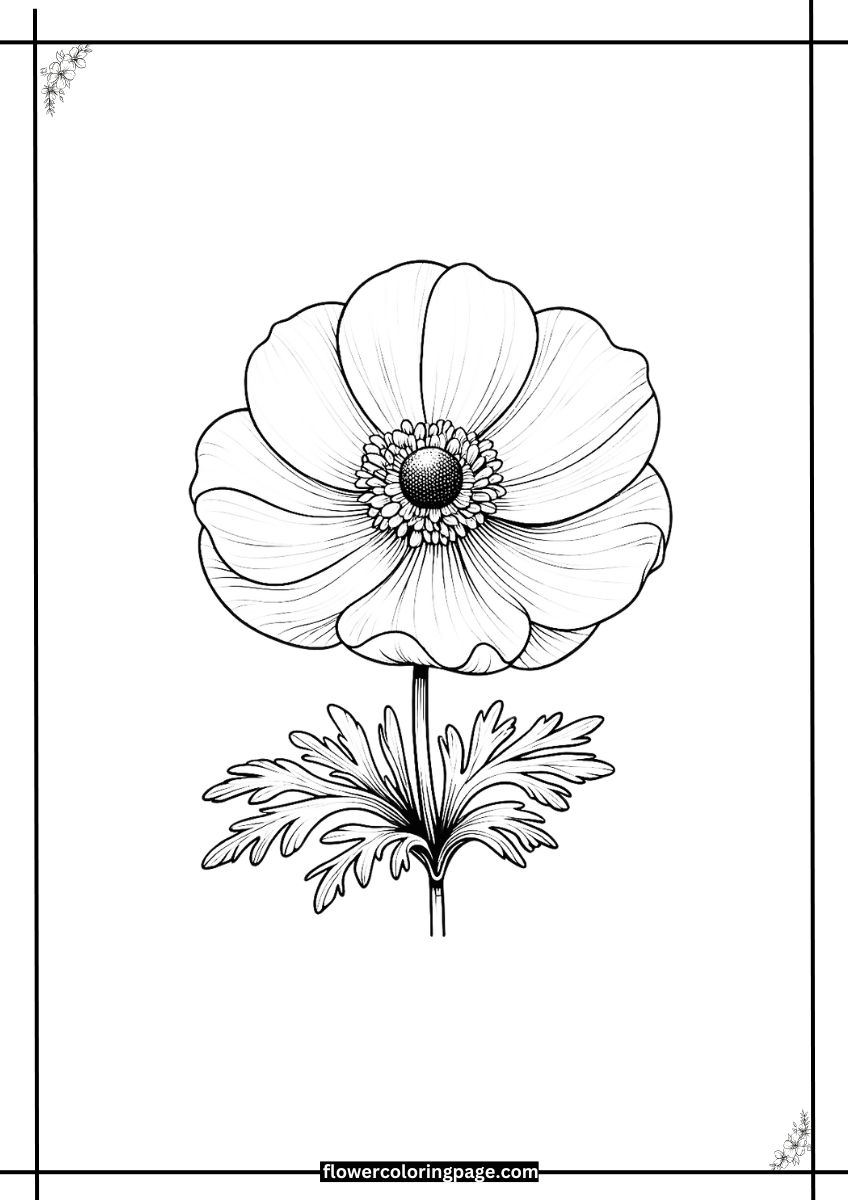 Free Anemone Coloring Pages [ Printable PDF ] Flower Coloring Page
