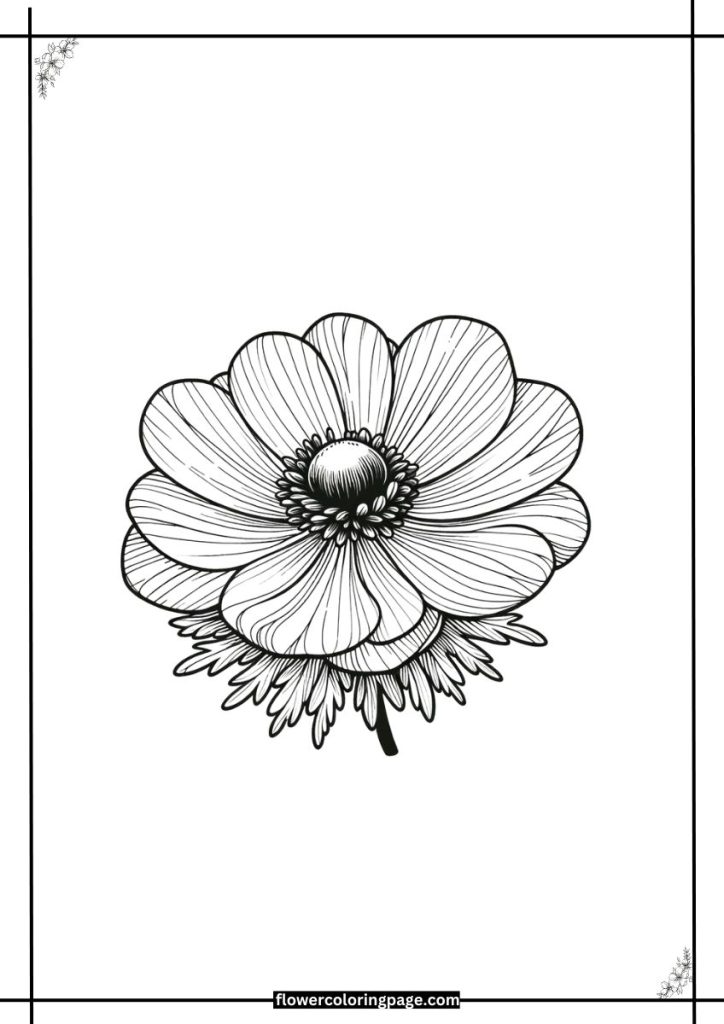 anemone flower coloring page