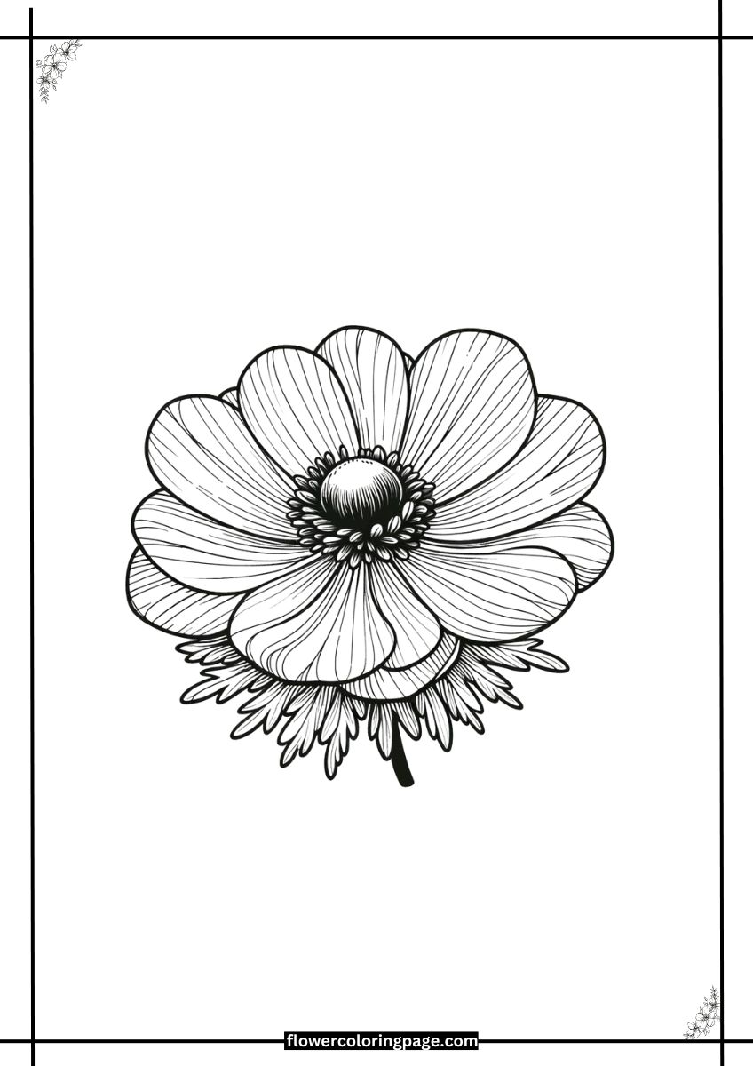 Free Anemone Coloring Pages [ Printable PDF ] Flower Coloring Page