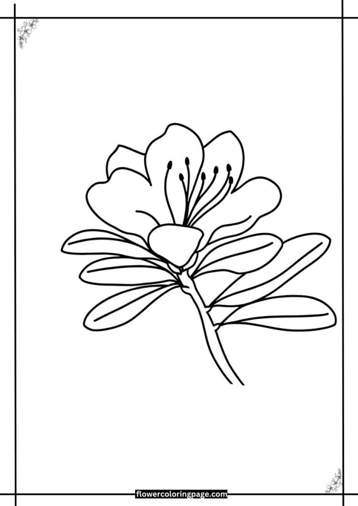 azalea coloring page