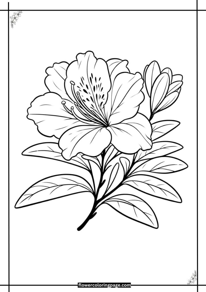 azalea flower coloring page