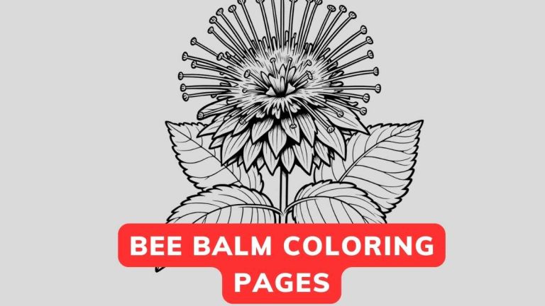 bee balm coloring pages