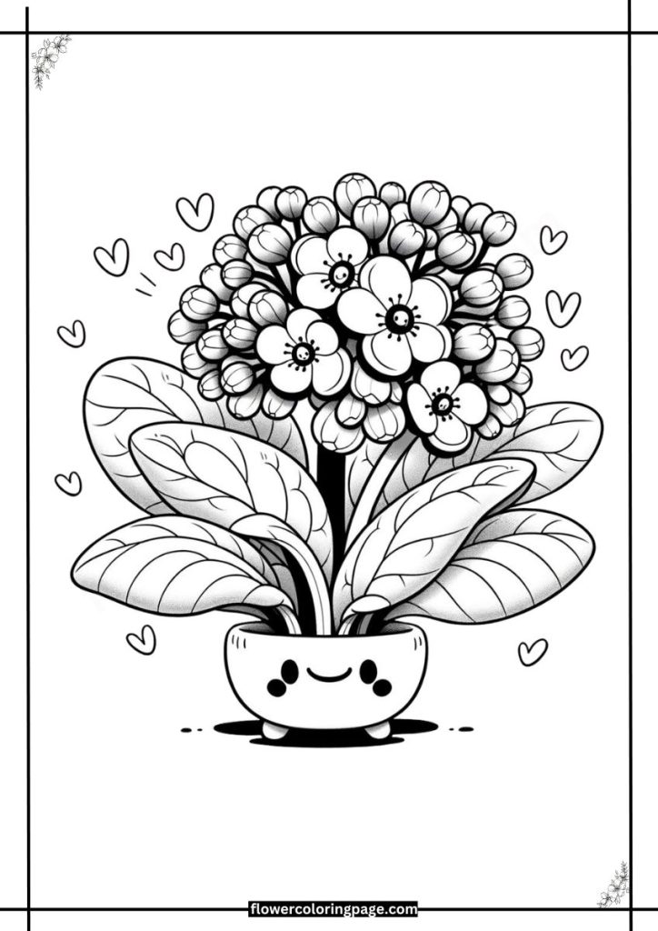 bergenia coloring pages free download