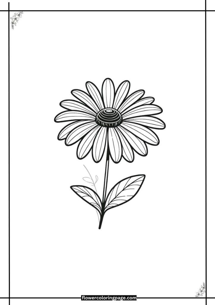 black eyed susan coloring page