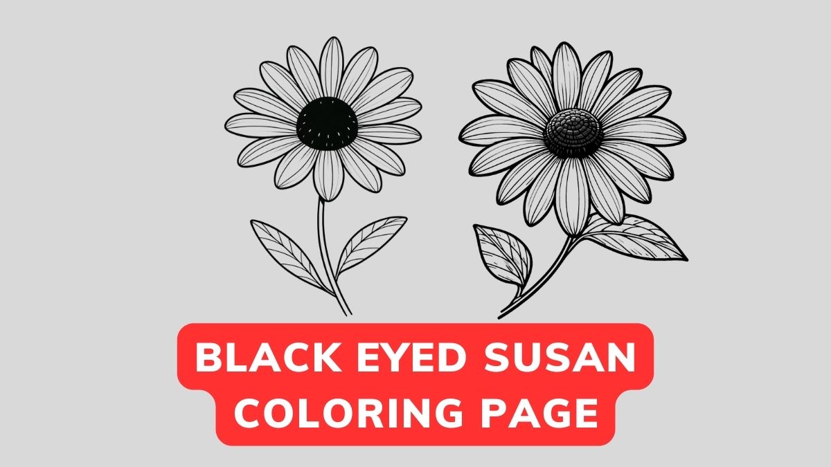 black eyed susan coloring page