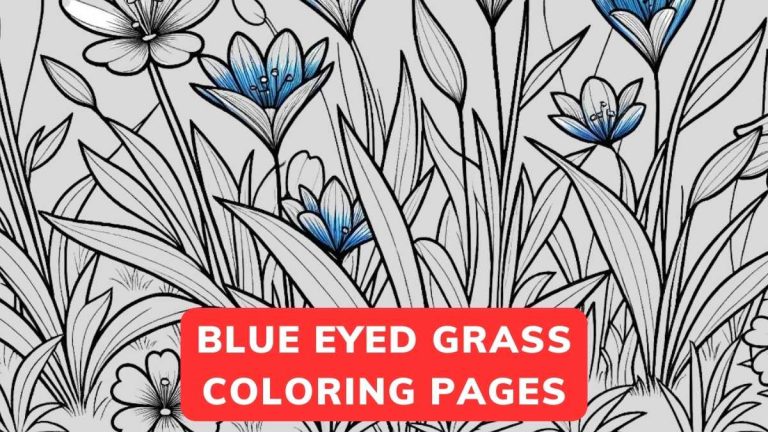blue eyed grass coloring page