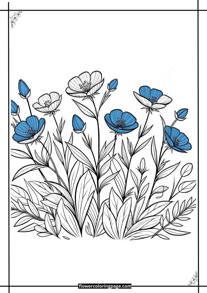 blue eyed grass coloring pages free download