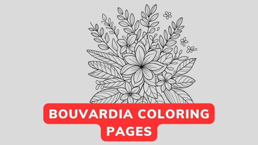 Printable Bouvardia Coloring Pages Free PDF Flower Coloring Page