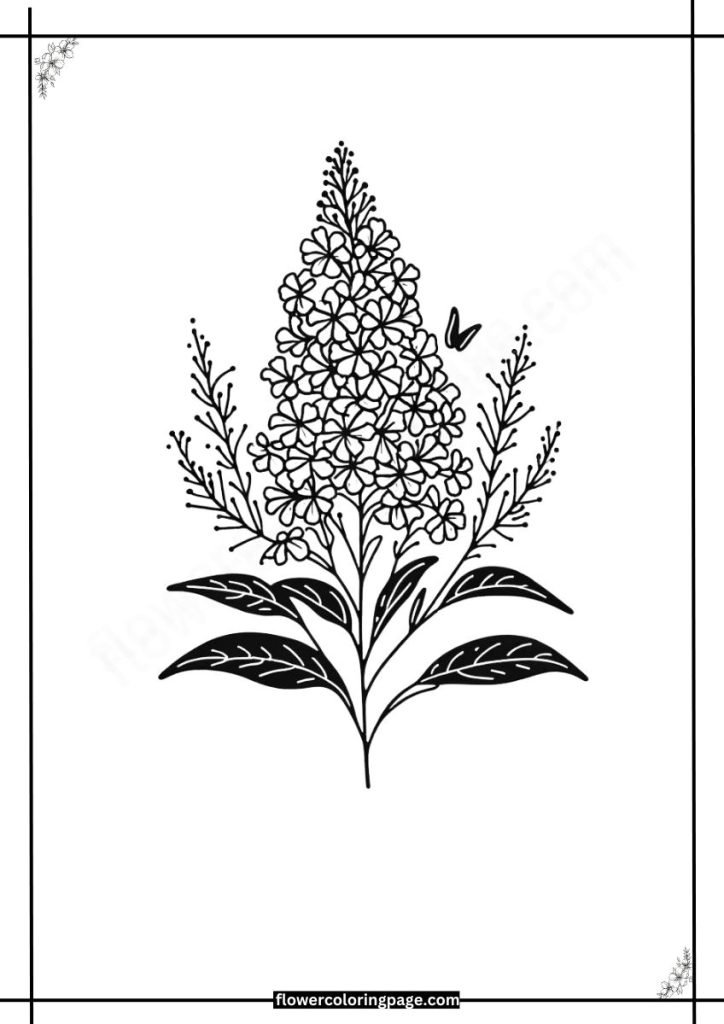 butterfly bush coloring pages