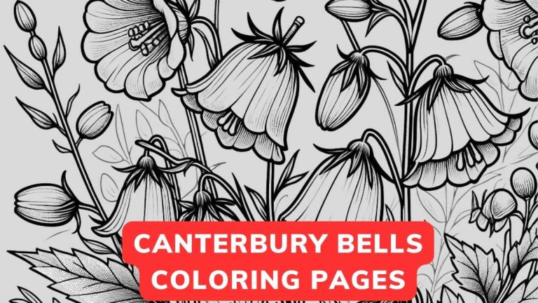 canterbury bells coloring page