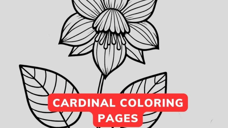 cardinal coloring page