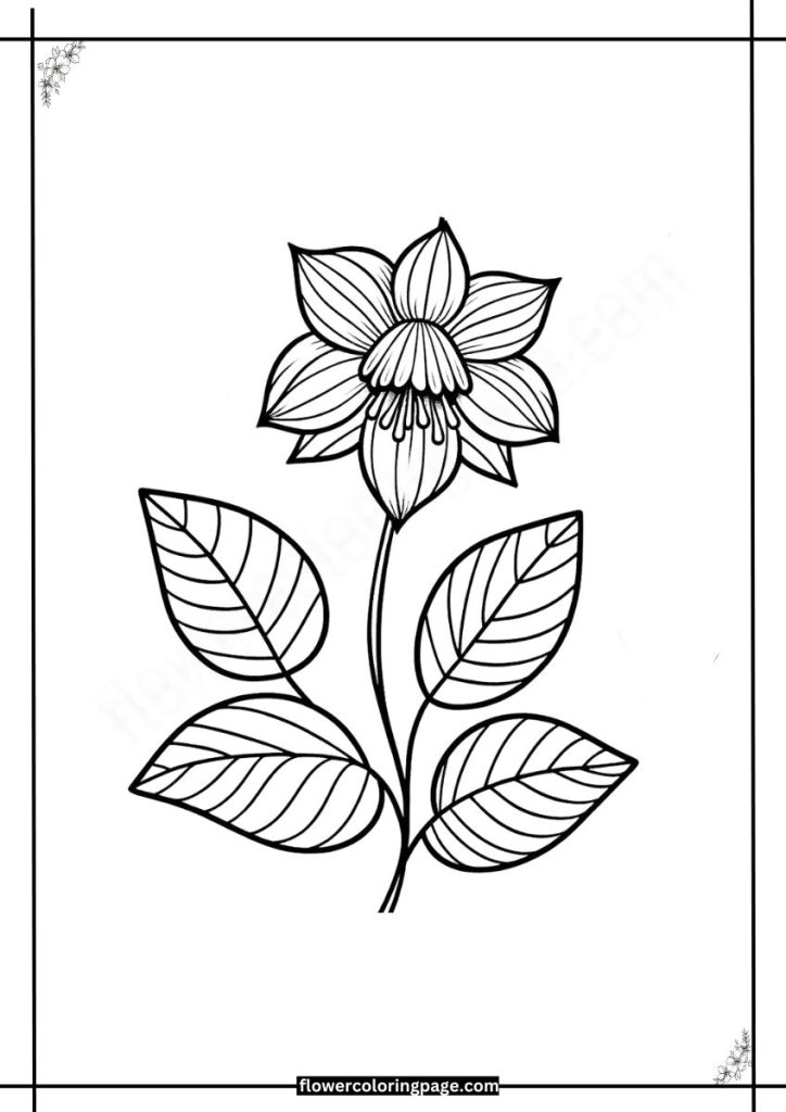 cardinal coloring pages