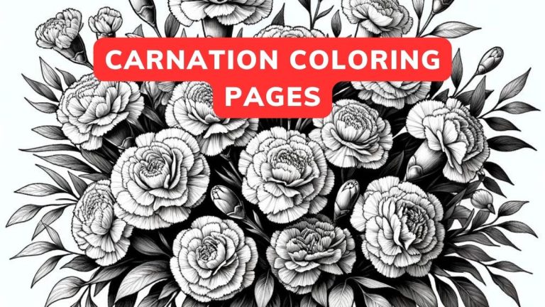 carnation Coloring Pages