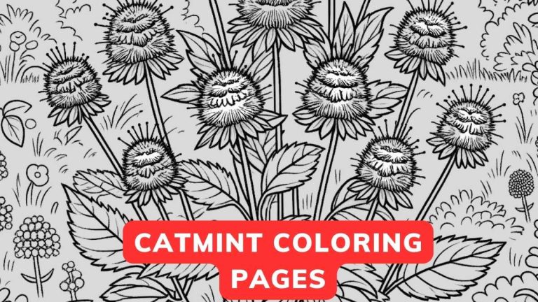 catmint coloring page