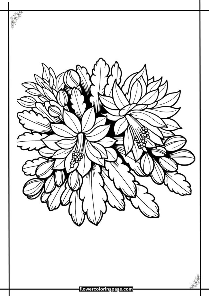 christmas cactus coloring page