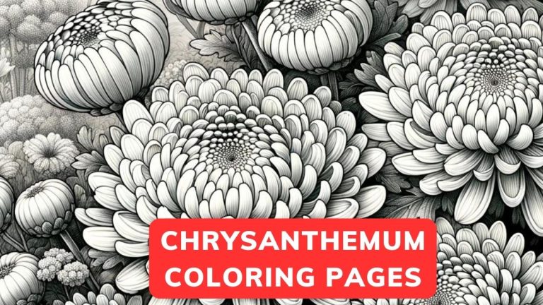 chrysanthemum Coloring Pages