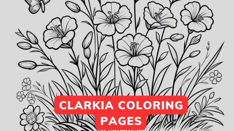 clarkia coloring page