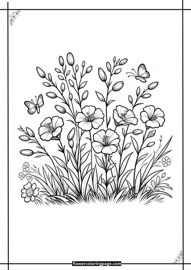 Free Clarkia Coloring Pages Printable PDF Flower Coloring Page