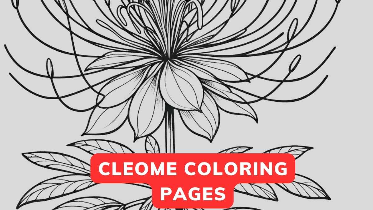 cleome coloring page