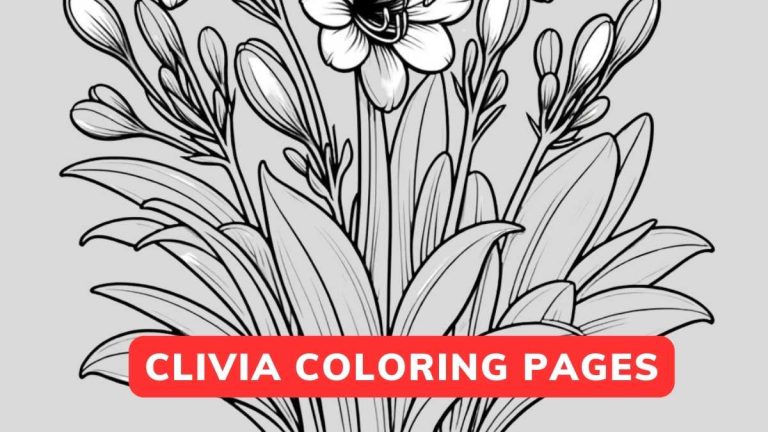 clivia coloring page