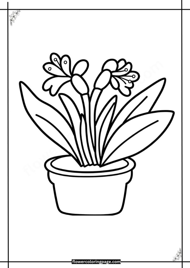 clivia coloring pages printable