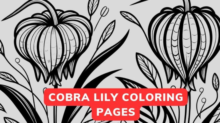 cobra lily coloring page