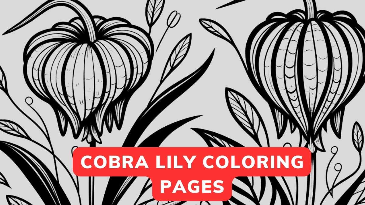 cobra lily coloring page