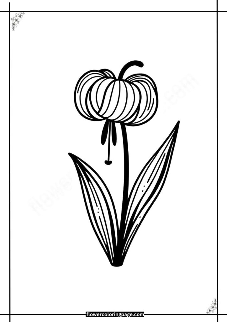 cobra lily coloring pages