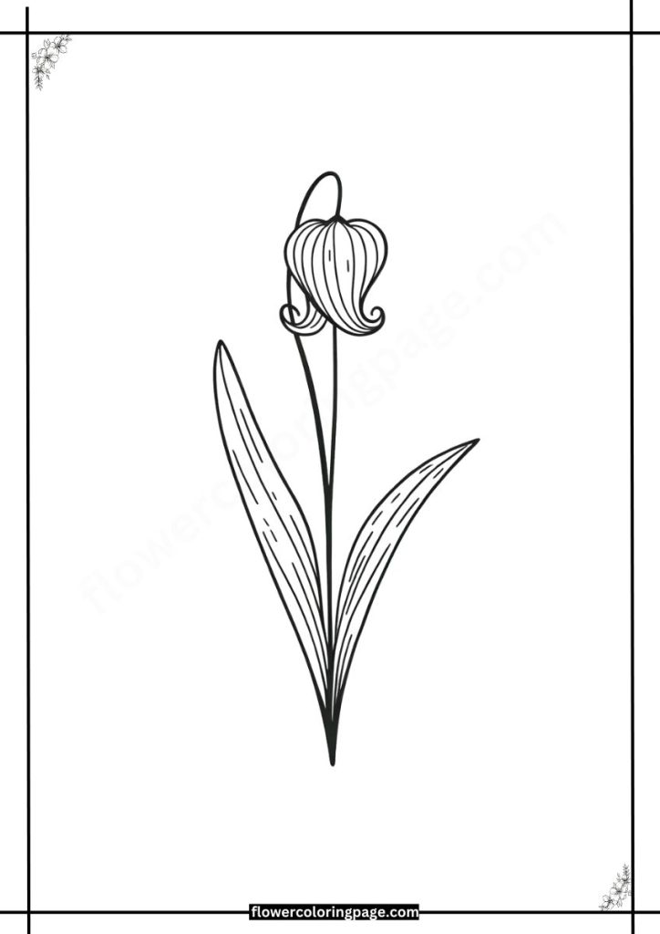 cobra lily coloring pages pdf download