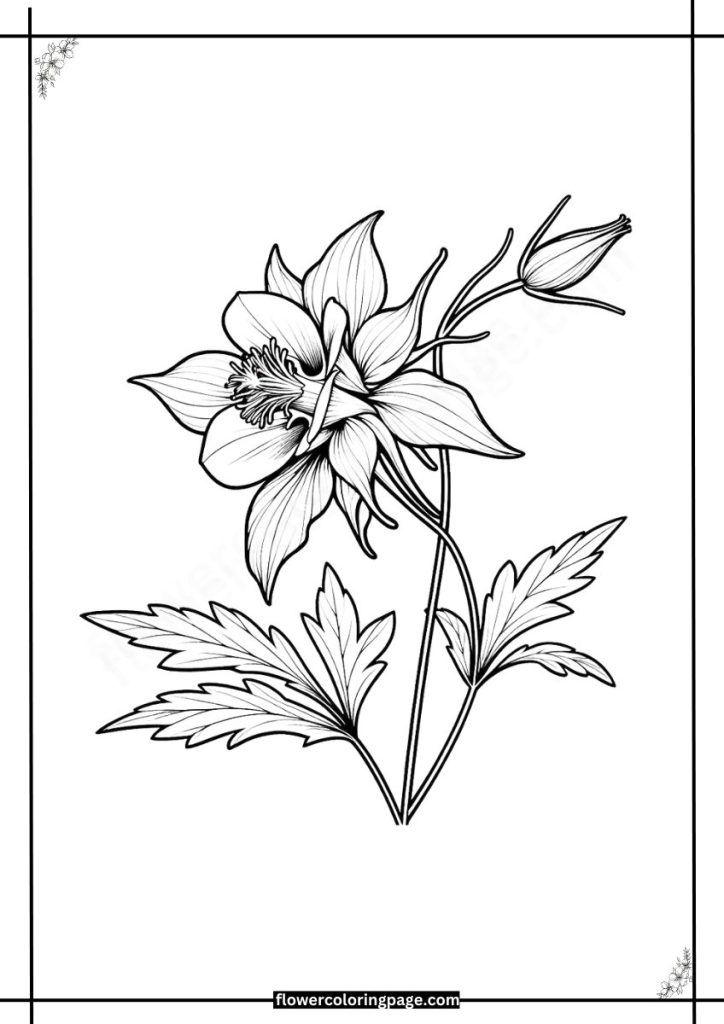 columbine coloring page