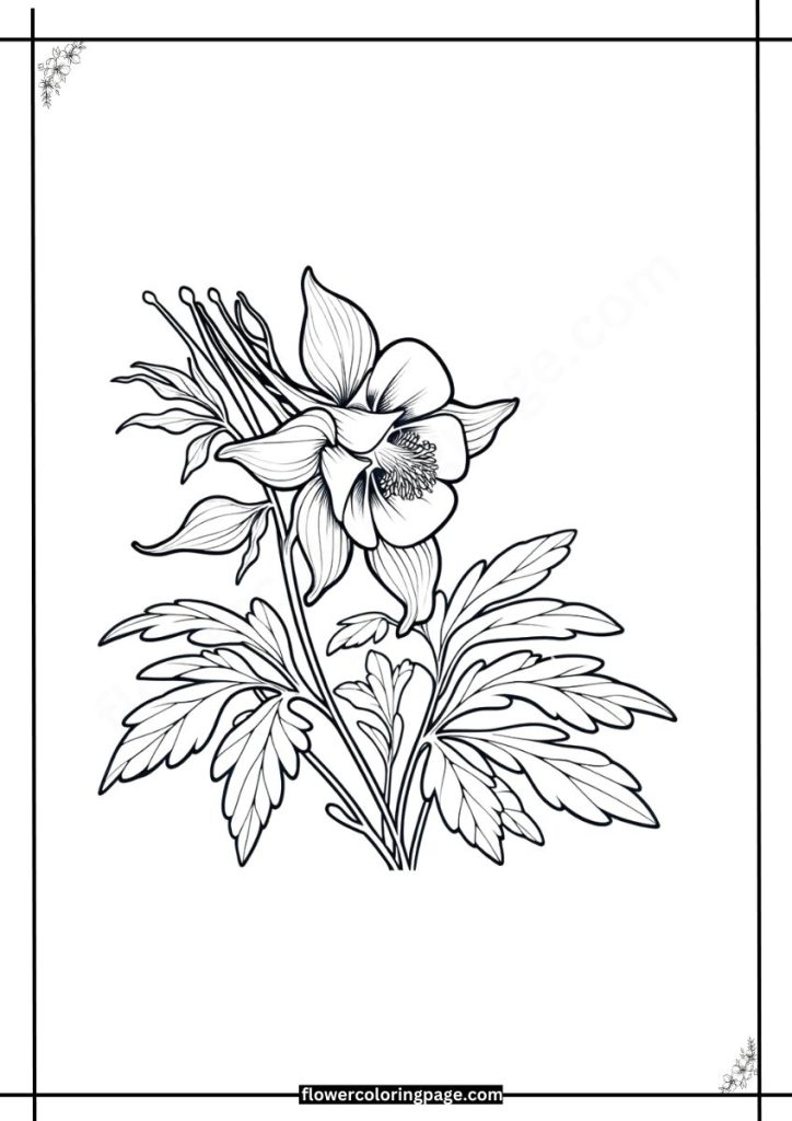 columbine flower coloring page