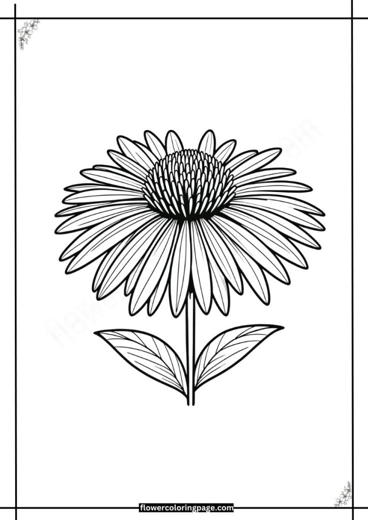 Free Coneflower Coloring Pages Printable PDF - Flower Coloring Page