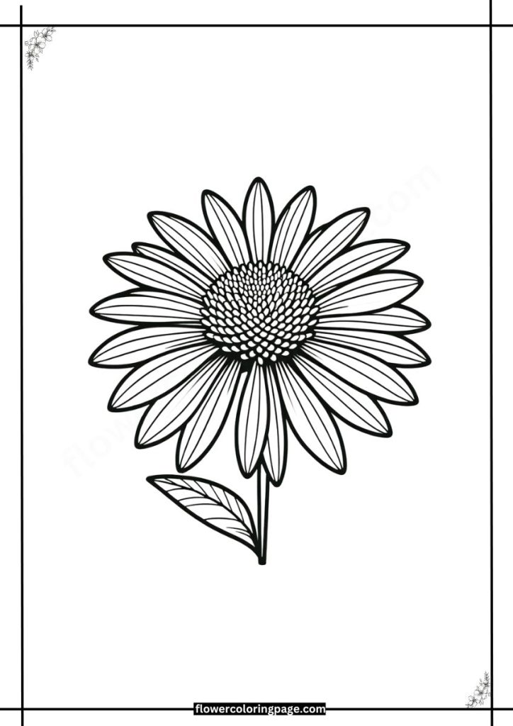 coneflower coloring pages free download