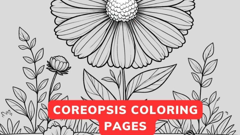 coreopsis coloring page